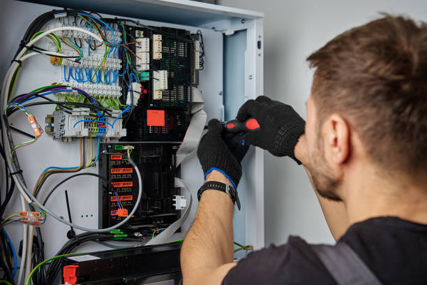 Licensed Electrical Panel Upgrade service in Twin Lakes, VA - No Joke electrician